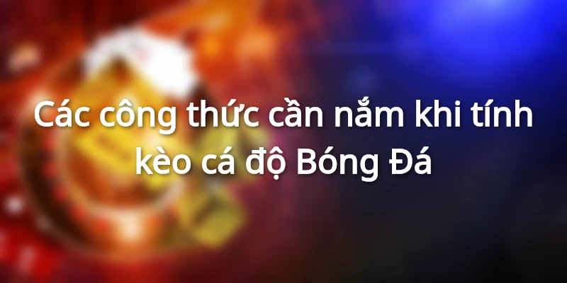 Cách tính cá độ Bóng Đá thông qua công thức thắng thua