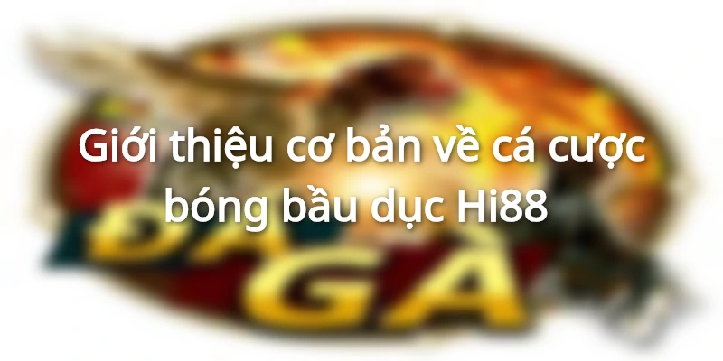 Giới thiệu cơ bản về cá cược bóng bầu dục Hi88 