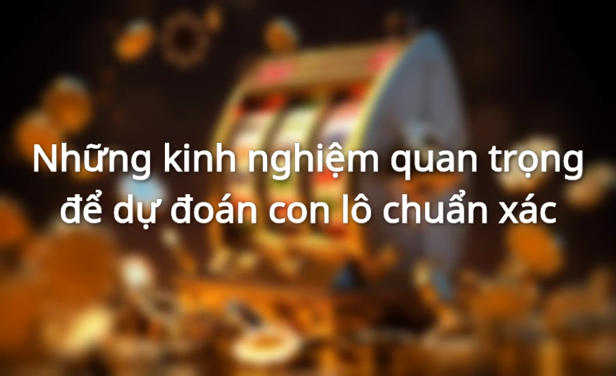 Những kinh nghiệm quan trọng để dự đoán con lô chuẩn xác