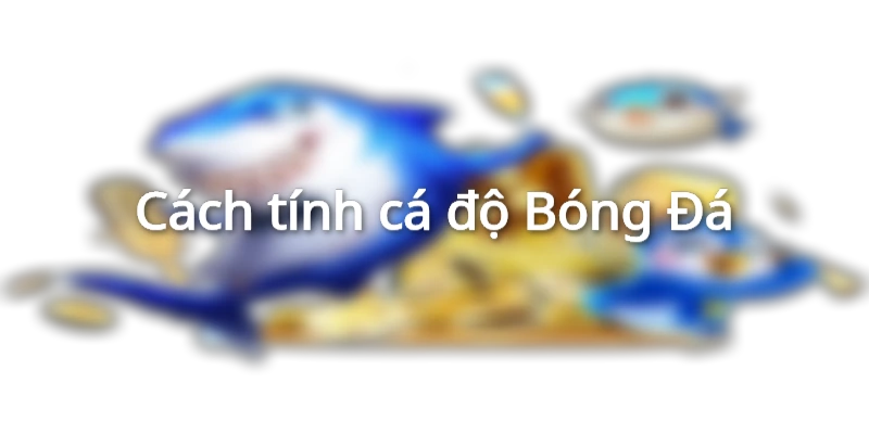 Cách tính cá độ Bóng Đá