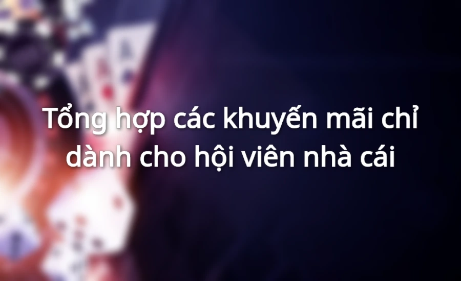 Tổng hợp các khuyến mãi chỉ dành cho hội viên nhà cái