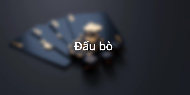 Cảm nhận sự gay cấn của đấu bò 