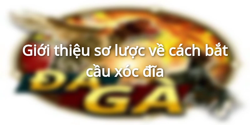 Cách bắt cầu xóc đĩa là chìa khóa tăng khả năng chiến thắng của bạn