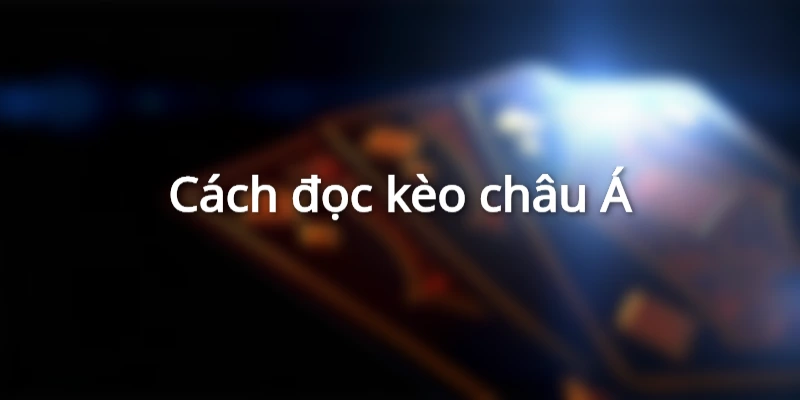 Cách đọc chi tiết trong bảng tỷ lệ