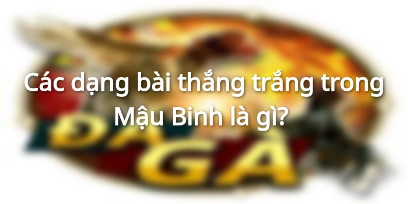 Bài trắng trong mậu binh