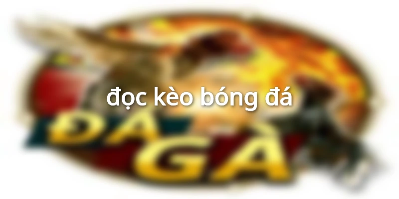 đọc kèo bóng đá