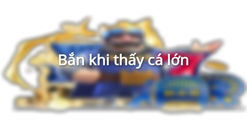 Chiến thuật săn cá đỉnh cao
