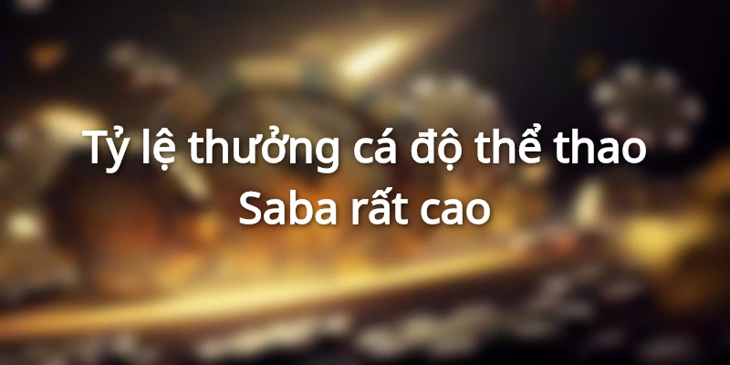 Tỷ lệ thưởng trong cá độ thể thao cực kỳ cao