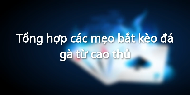 Bí kíp cược đá gà chuẩn